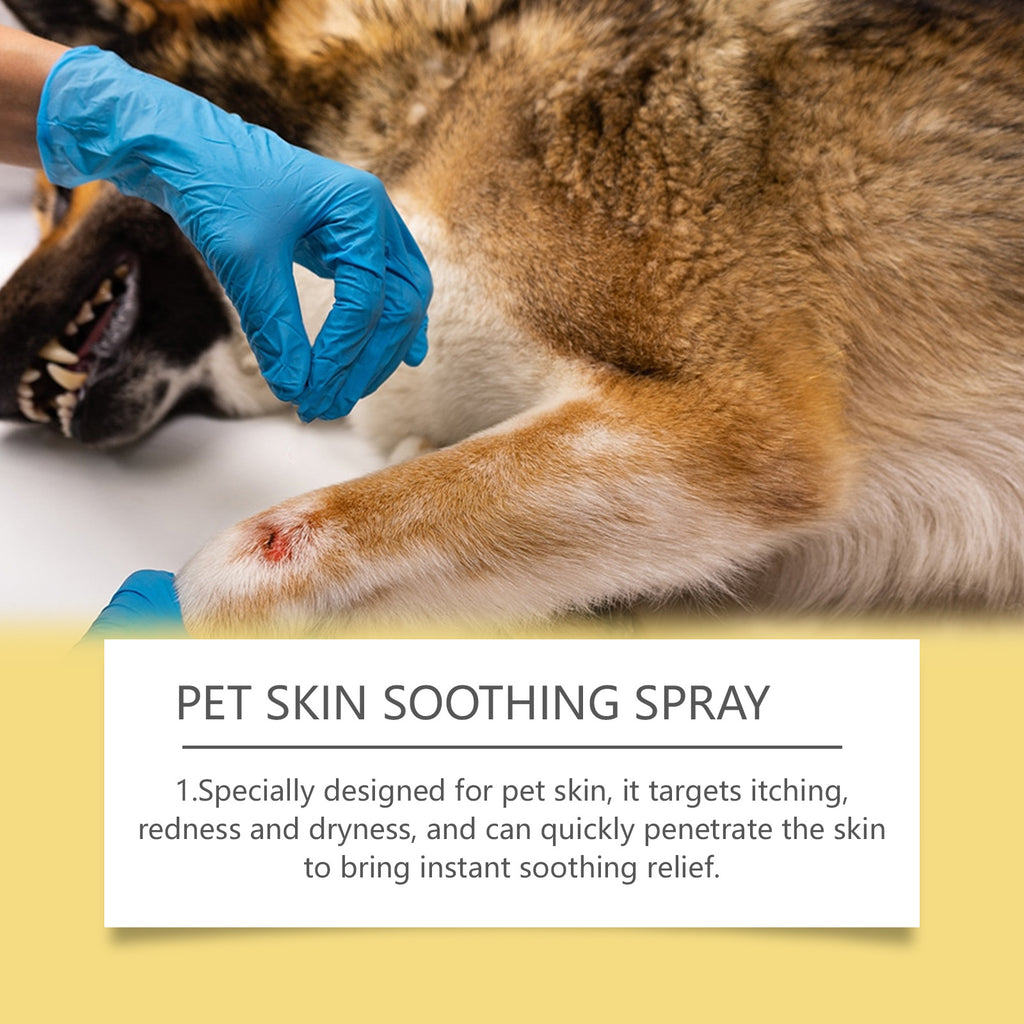 Yegbong Pet Skin Care Spray Gentle Ingredients Relieve Pet Skin Discomfort External Care Spray