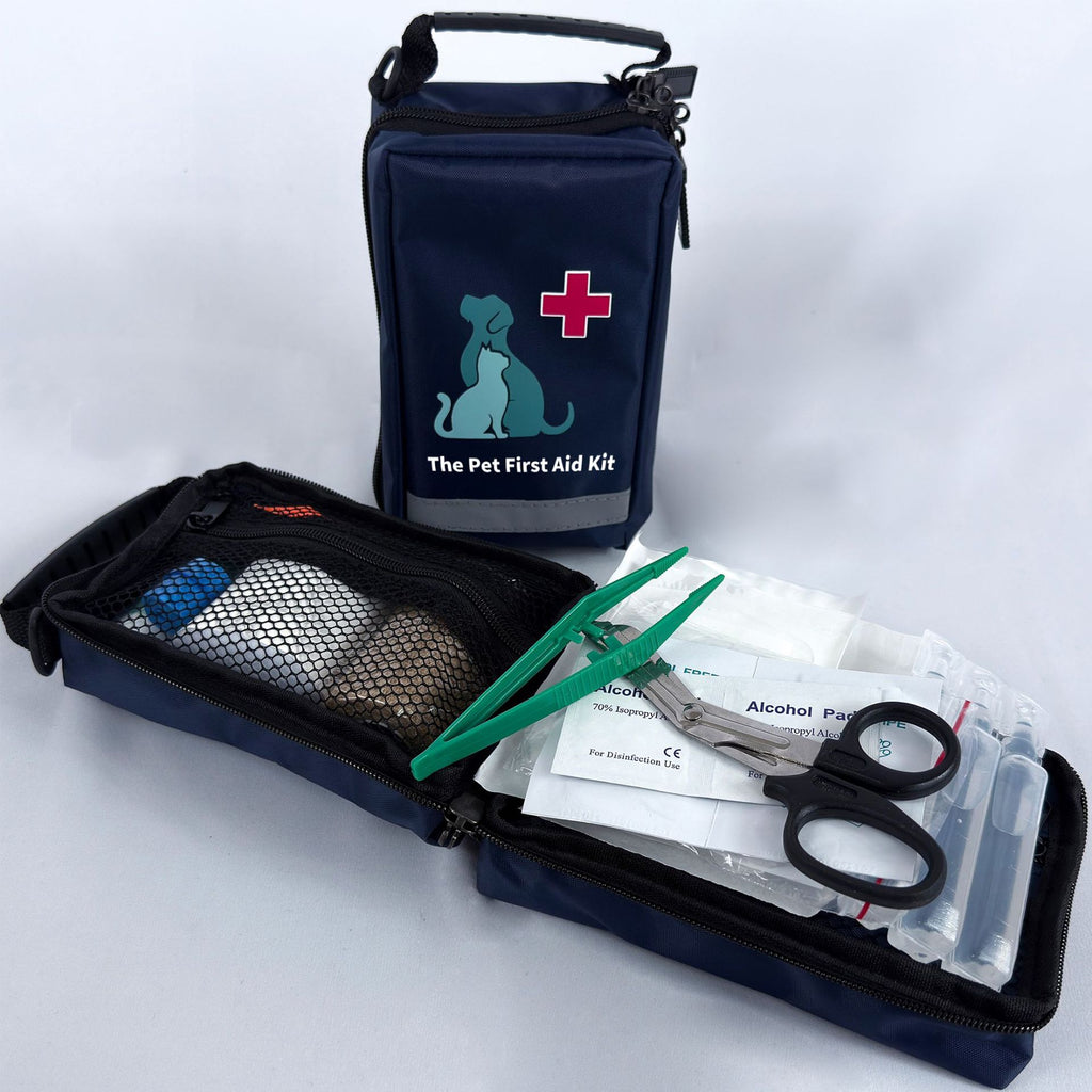 Emergency Pet Care for Out-of-Home Situations