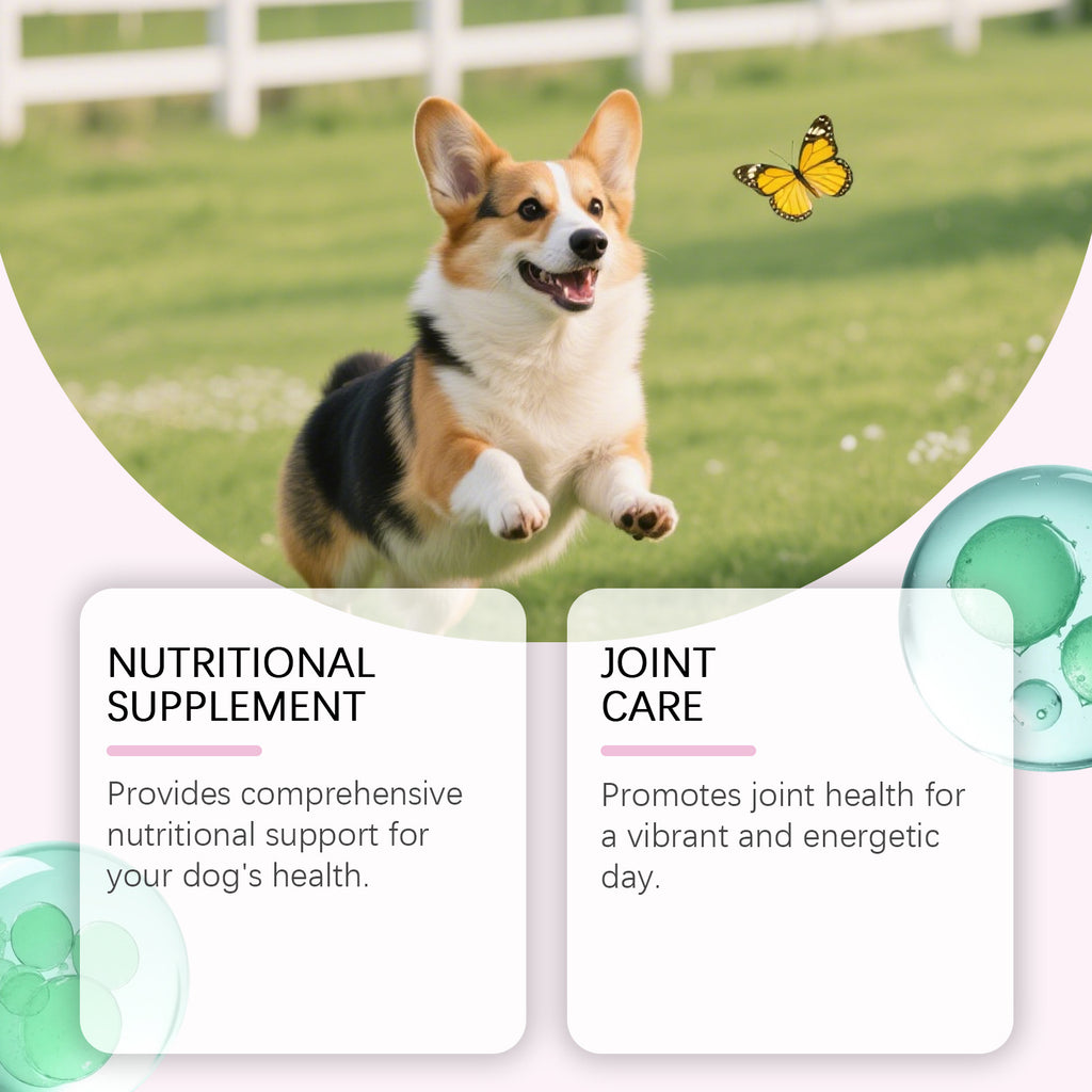 Kriath Pet Dog Coat Skin Care Nutritional Drops