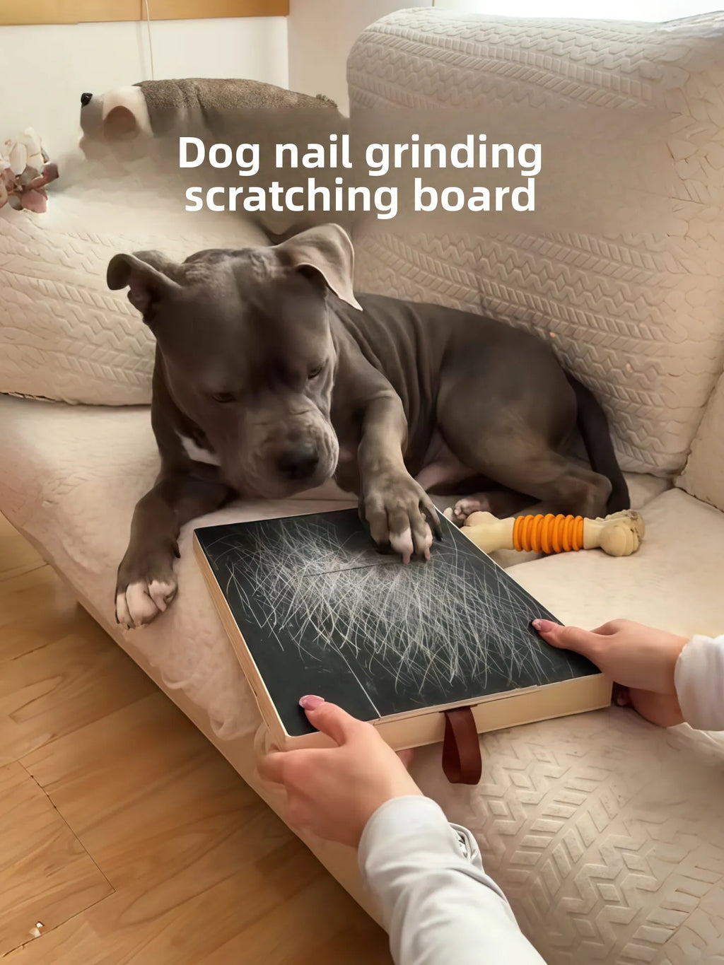 Dog Nail Scratch Board - File Your Dog's Nails at Home