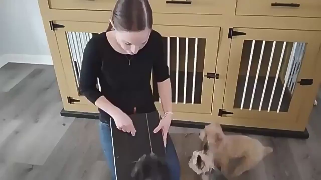 Dog Nail Scratch Board - File Your Dog's Nails at Home
