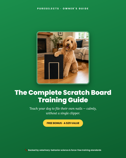 Dog Nail Scratch Board - File Your Dog's Nails at Home